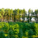 Юлия Егупова