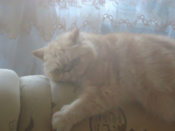 Татьяна Козлова