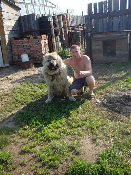 Владимир Крутин