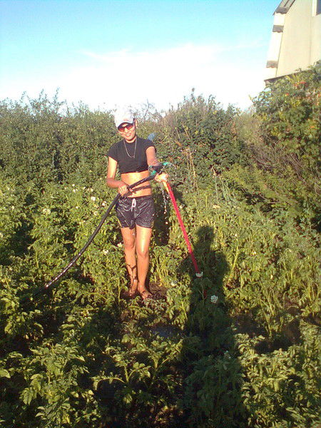 Сплошная Проблема!