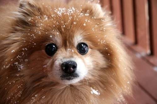 Наталья Катюкова