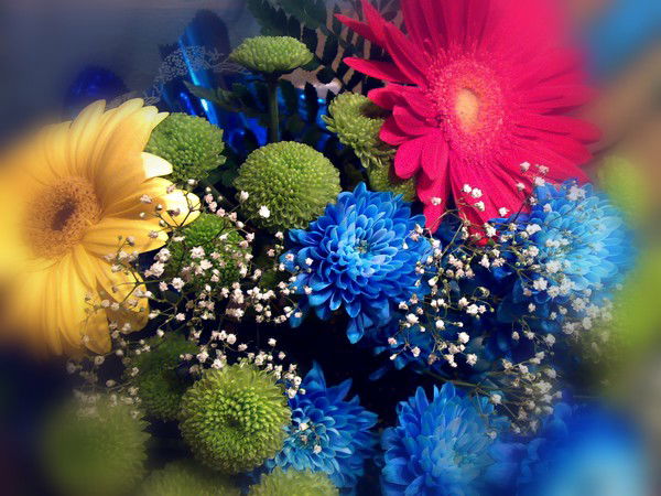 Татьяна Шарова