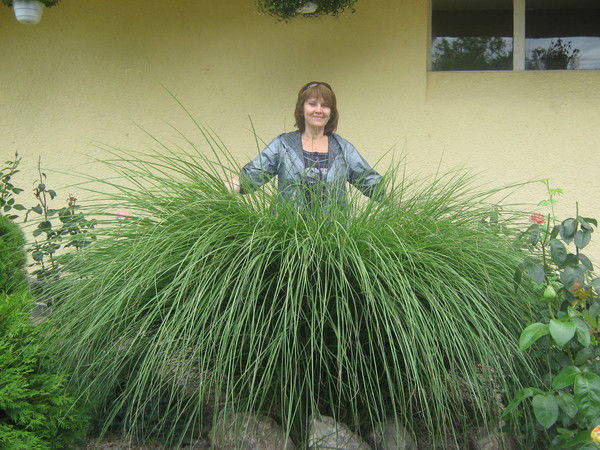 Татьяна Лупина