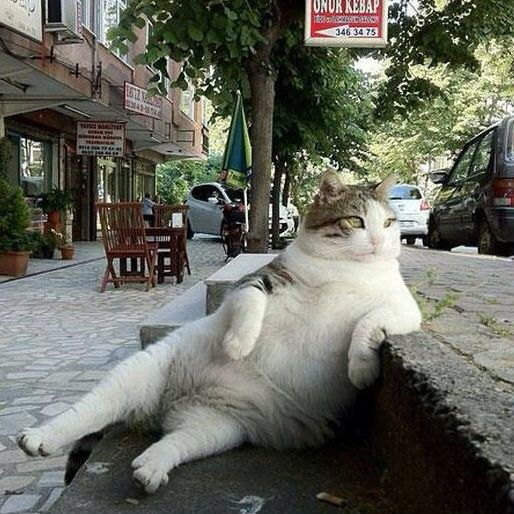 Максим Кузнецов