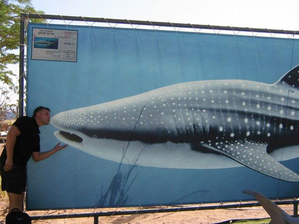 Сергей Гапличник