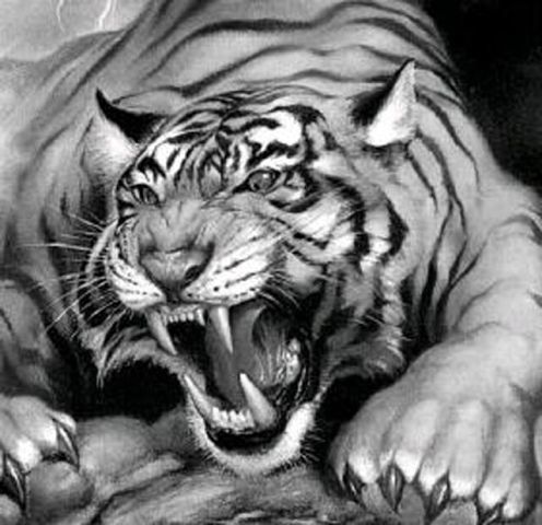 Дмитрий Костарев