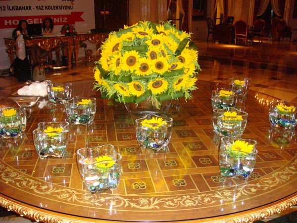 Светлана Плохова