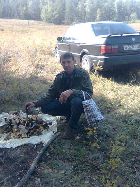 Алекс Алекс