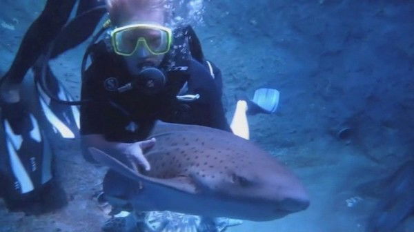 Светлана Морозова