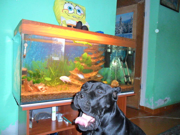 Инна Лукьяненко