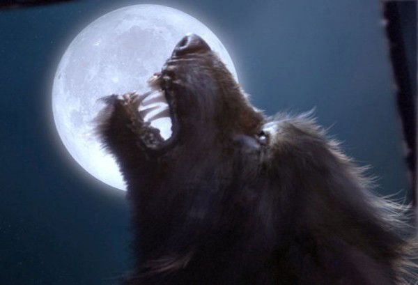 Александр Б.