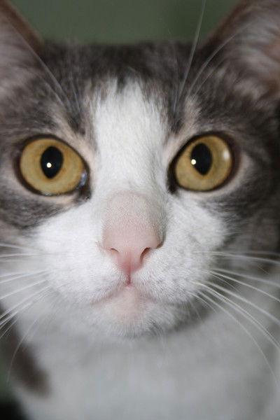 Наталья Кузнецова