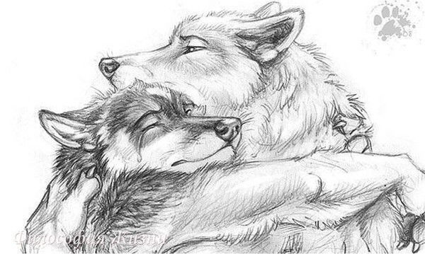 Волк Одиночка