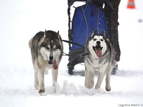 Фёдор Игнаткин