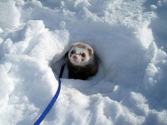 Андрей Удалов