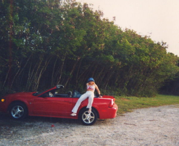 Света Соловьева