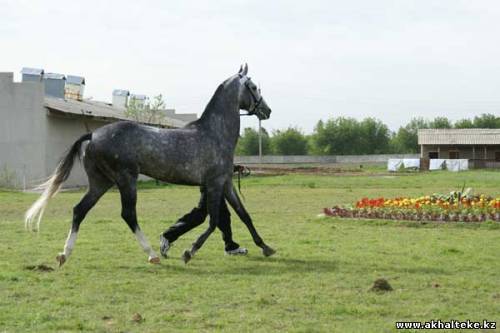 Серик Мадешов
