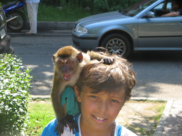 Виктор Овсянников