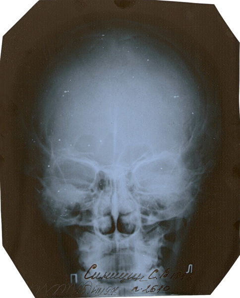 Сергей Синицын