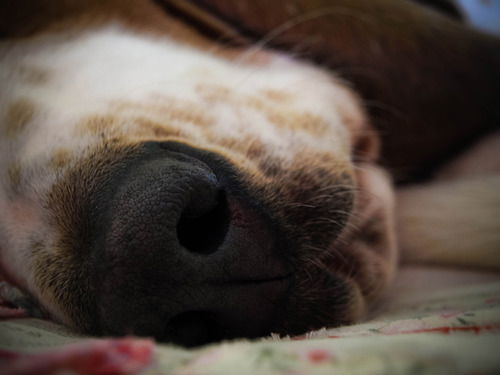 Неизвестно Неизвестно