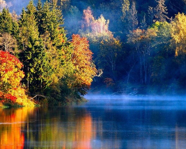 Александр Ильенко