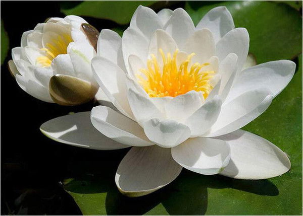 Лилия Мифтахова