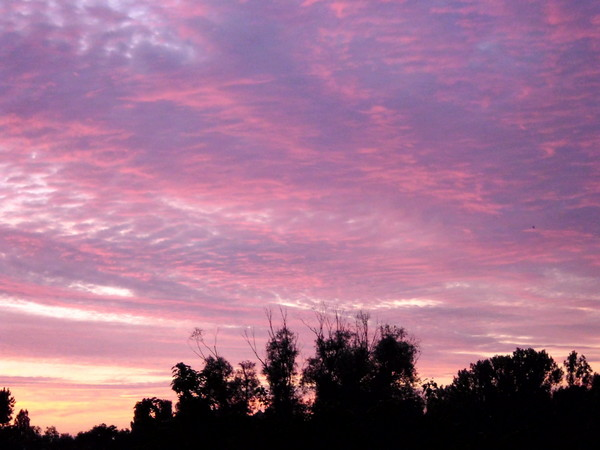 Анатолий Михно