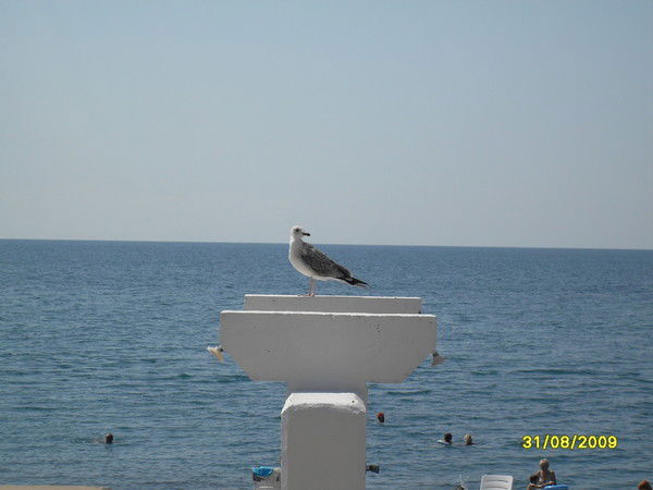 Сергей Русаков