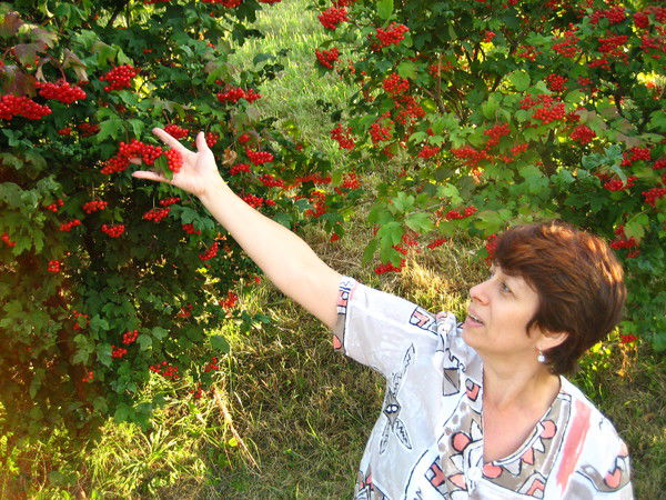 Админ Крамского_19