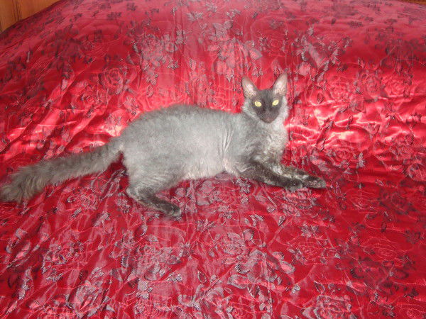 Жанна Маканбаева