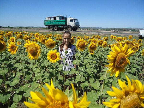 Лена Карасёва