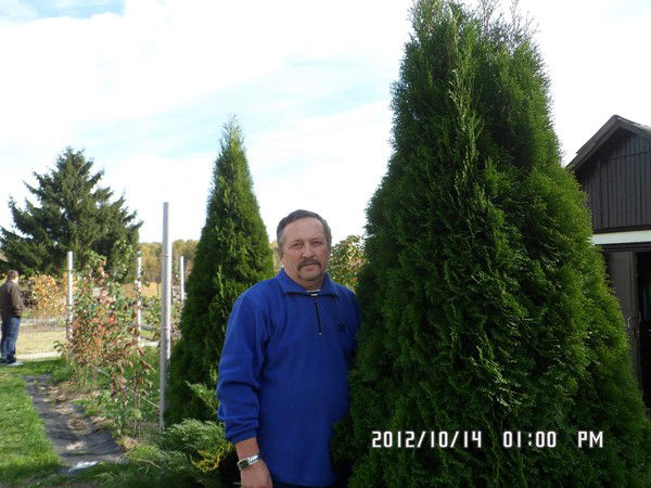 Николай Давыдов