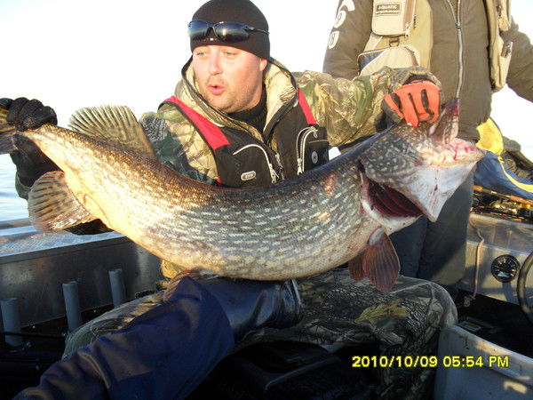 Сергеи Козин