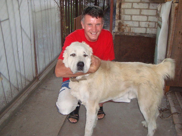 Андрей Мохов