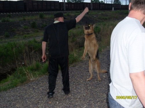 Алексей Павлов