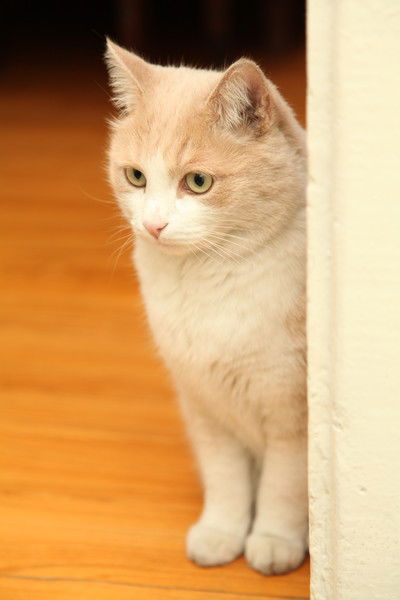 Ербол Нуртаканов