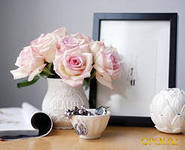 Салтанат Мырзаметова