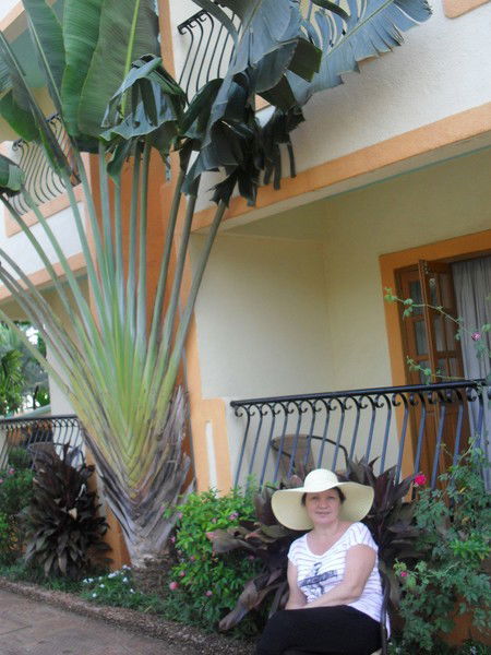 Елена Соловьёва