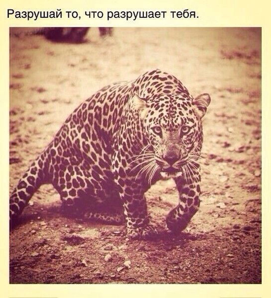 Оксана Яцкевич