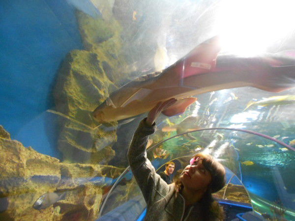 Наталья Иванова