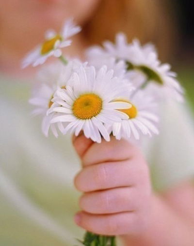 Мария Ромашка