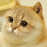 Дмитрий Колинченко