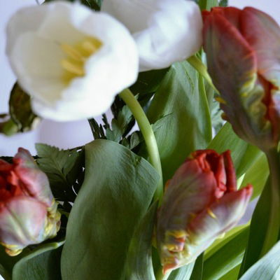 Руфина Кадермятова