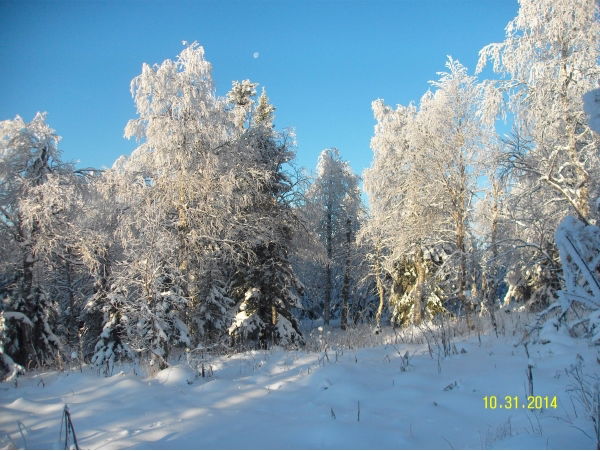 Матвей Бутылин