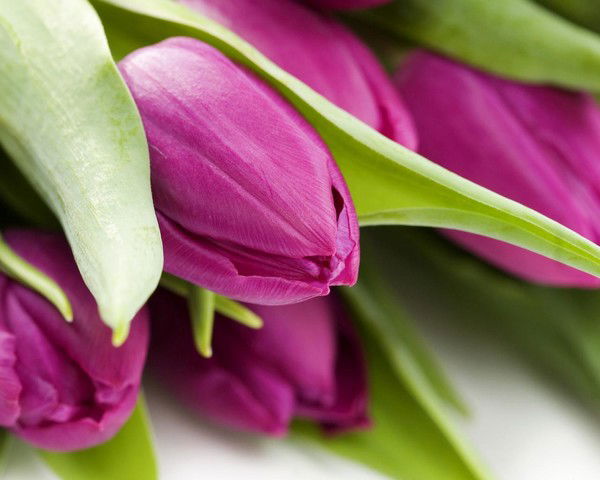 Куралай Досжанова