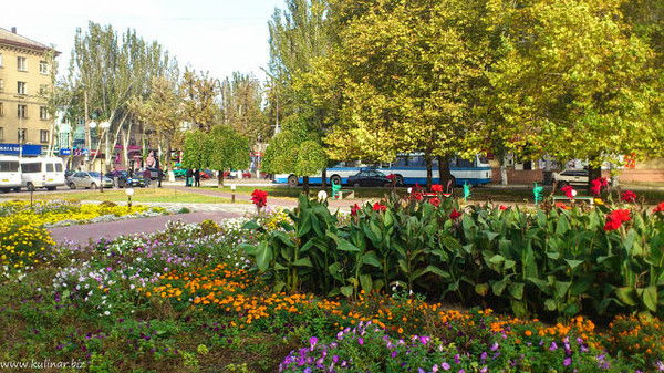 Надежда Медведева