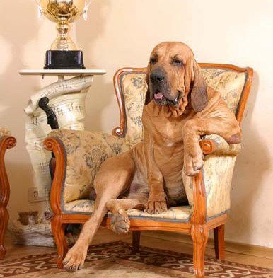 Можайка Сомово