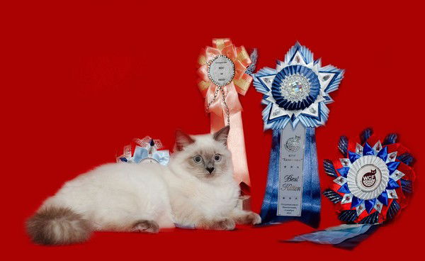 Екатерина Фокина