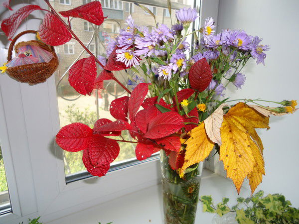 Тамара Плотникова