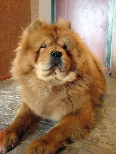 Людмила Цыганова